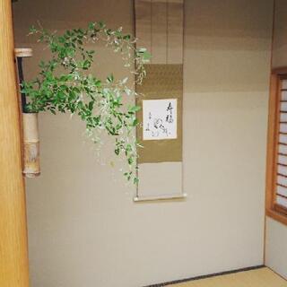 表千家茶道教室、生徒募集中‼️