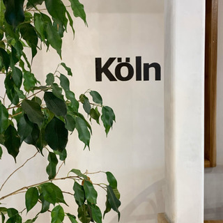 安芸郡坂町にあるKölnでヨガしませんか？