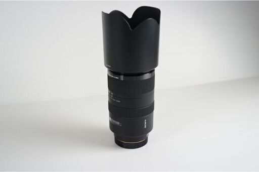 美品 ソニー SAL70300G ソフトケース付き！中古美品