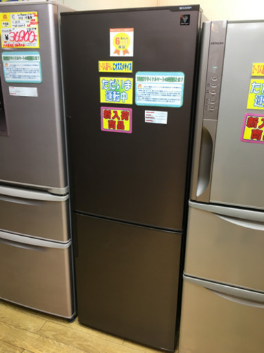 2017年製 SHARP 271L冷蔵庫 プラズマクラスター SJ-PD27C-T シャープ