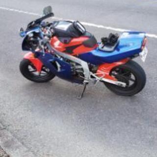 希少NSR50