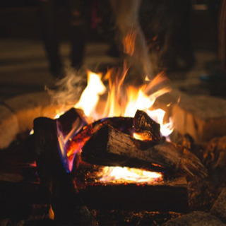 焚き火用(広葉樹)薪セット 20kg 焚き火応援25%off継続中の画像