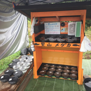 里山めだか 無人メダカ販売所 9/12出品分