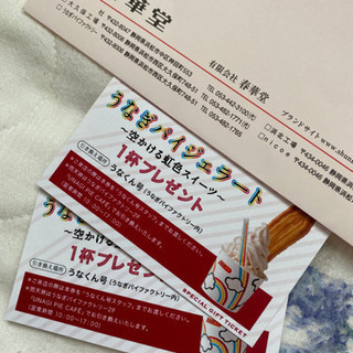 うなぎパイジェラート券の画像