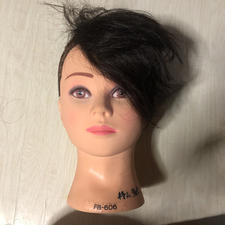 レジーナFB-606の画像