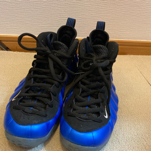 NIKE ポジット　靴