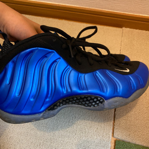 NIKE ポジット　靴
