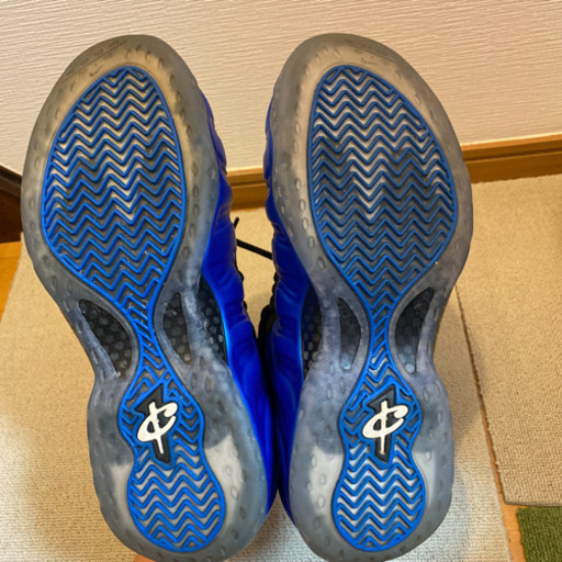 NIKE ポジット　靴