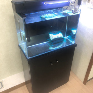 お値引きしました！Headway UNIVERSE SERIES HD-45S (ANA)