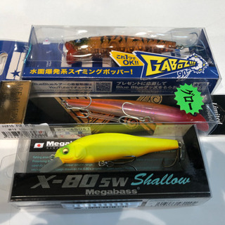ウェーディングシーバス仲間の募集です❗️ − 東京都