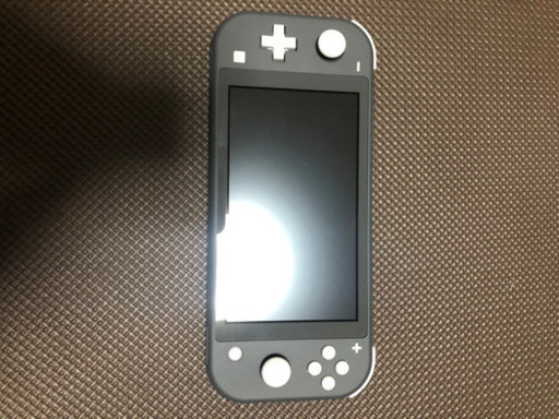 スイッチライト　本体　充電器　クリアケース