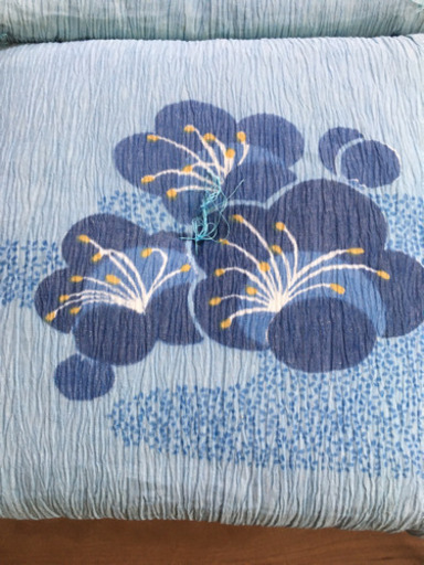 ちぢみ　座布団　夏向　5枚セット