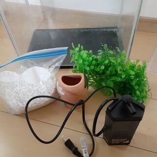 金魚水槽セット