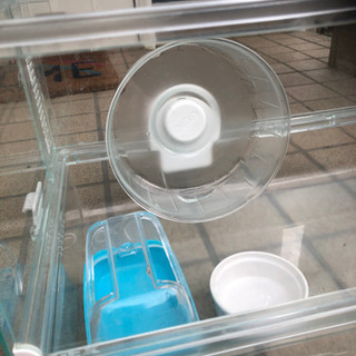 ハムスターの飼育箱の画像