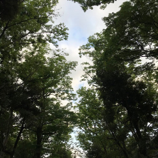 ふらふらと…