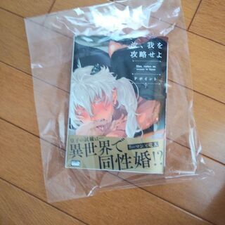 汝、我を攻略せよ