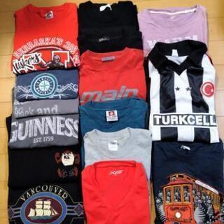 メンズ服Tシャツまとめうり15枚
