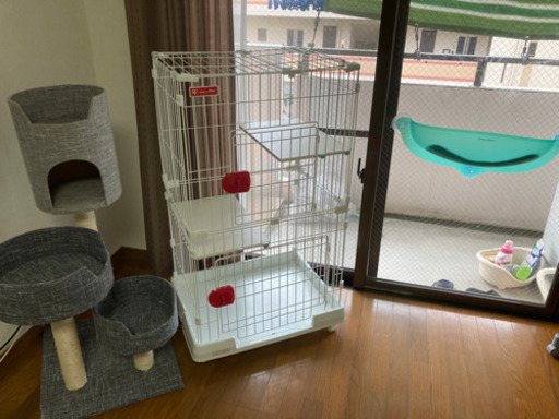 ペット用品　お得!早い者勝ち! 引き取り限定❣️値下げしました❣️