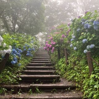 気の合う、心落ち着く友人をさがしたい会