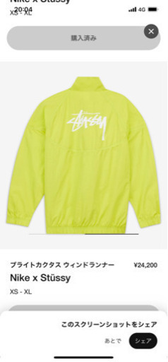 NIKE ステゥーシー