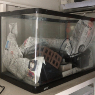 60cm 水槽セットの画像