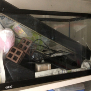 60cm 水槽セットの画像