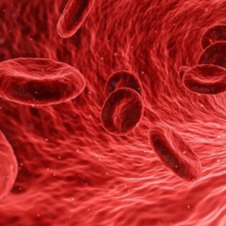 宇宙と細胞のお話会 - セミナー