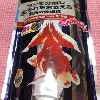【値下げなし】水槽の画像