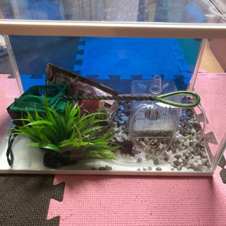 【値下げなし】水槽の画像