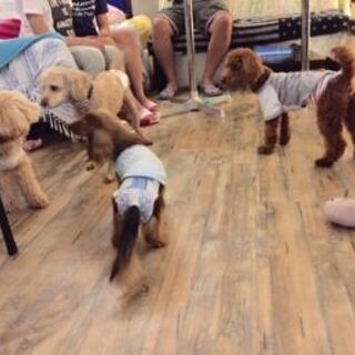 末永い犬友さんたち、大募集中です♪