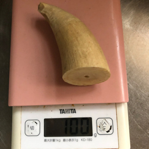 鯨の歯︎工芸品素材に︎100g