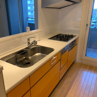 市販の洗浄剤では無理！（縦型タイプ)洗濯機も洗う時代です！家事