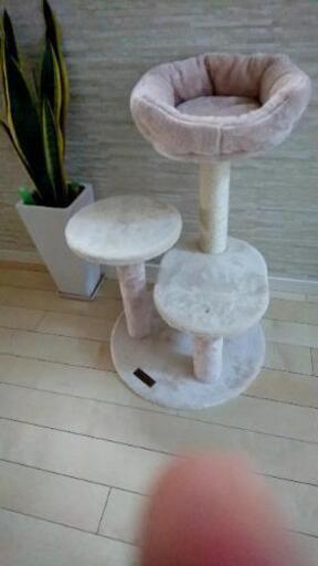 ★値下げしました★キャットタワー(未使用)