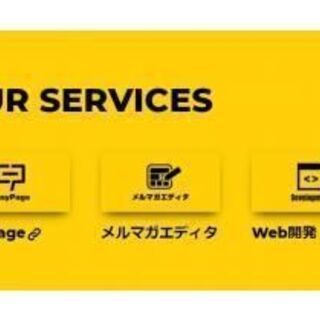 コーディングスタッフ、正社員求人の画像