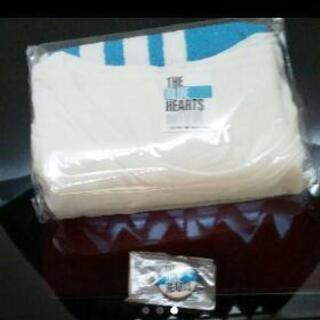 ブルーハーツの画像