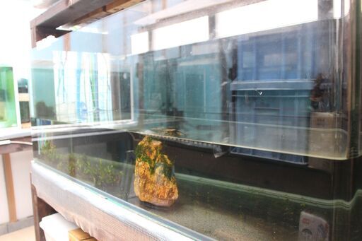 水槽（120X45X45）