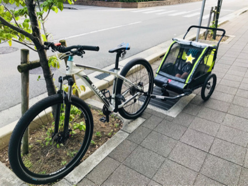 チャイルドトレーラー Allen Sports アレンスポーツ 2人乗り キッズ サイクルトレーラー