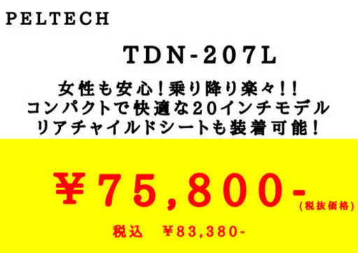 【新商品】20インチ電動自転車【10万以下】