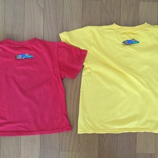 100cm 120cmペア☆Tシャツと絵本セットの画像