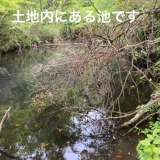 千葉県富津市の山林266坪 - 土地販売/土地売買