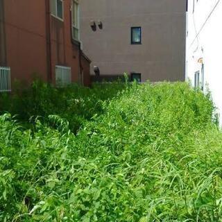 空き地・空き家の草刈り、木の伐採【隣家に迷惑にならないように対応します】 - 町田市