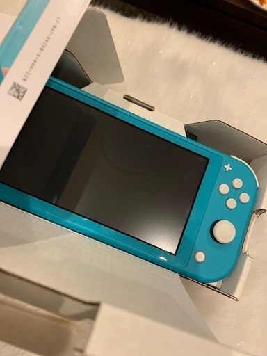 日にち限定　Switch Light ダウンロード版どうぶつの森