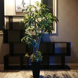 造花   高さ155cm