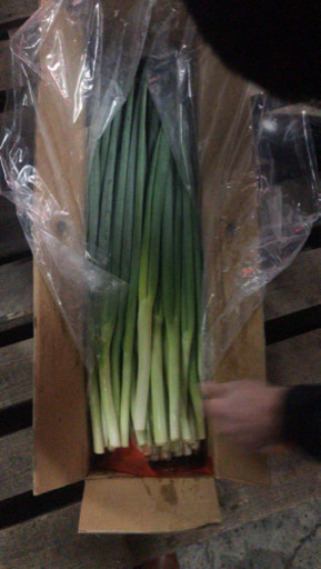 中国産野菜専門