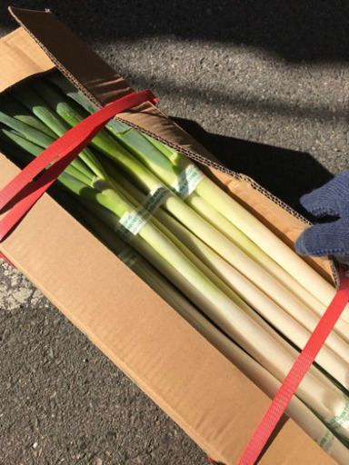 中国産野菜専門