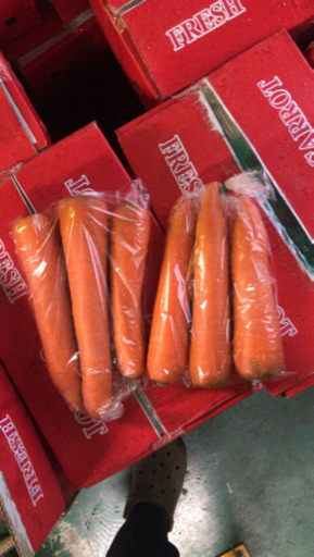 中国産野菜専門