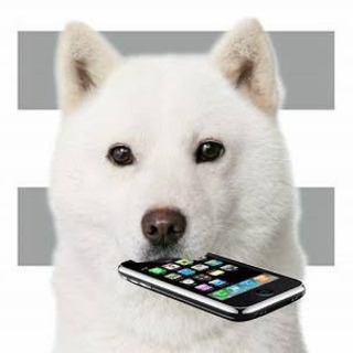 Softbank 機種変更　YMobileお使いの方へ。