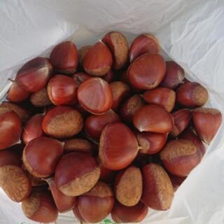 栗　たくさん