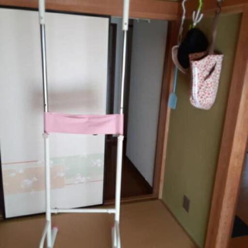 ぶら下がり健康器具ピンク