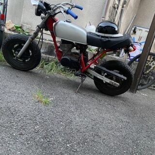 APE50